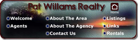 pat williams realty